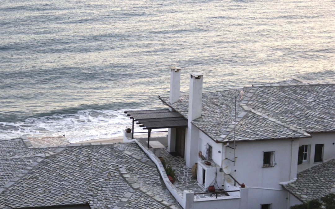 Σκεπόπλακες